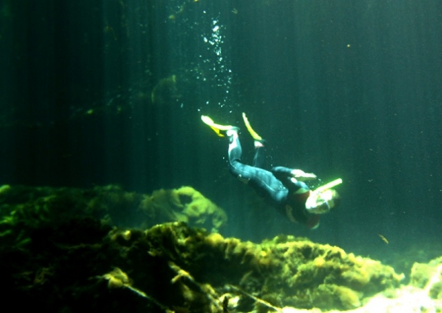 snorkealeando en profundidad